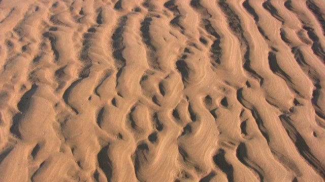 모래.jpg